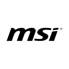 msi-corporate_identity-logo-black-rgb-png-228x228